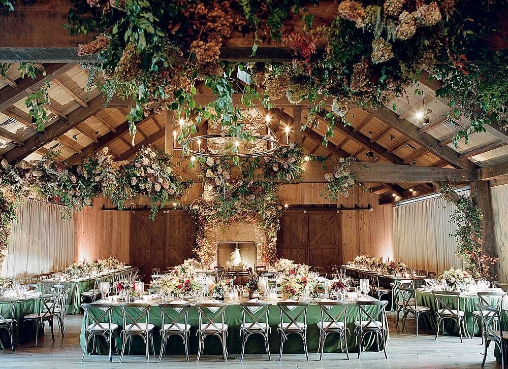 Timeless Reception